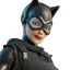 Catwoman Zero