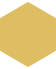 Divinicorp