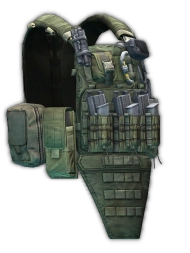 Crye Precision AVS plate carrier (Ranger Green)