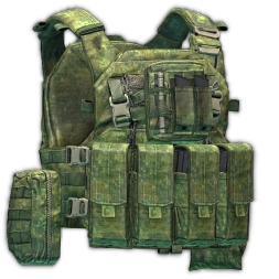 ANA Tactical M2 plate carrier (Digital Flora)