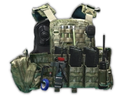 Ars Arma CPC MOD.1 plate carrier (A-TACS FG)