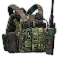 S&S Precision PlateFrame plate carrier (Goons Edition)