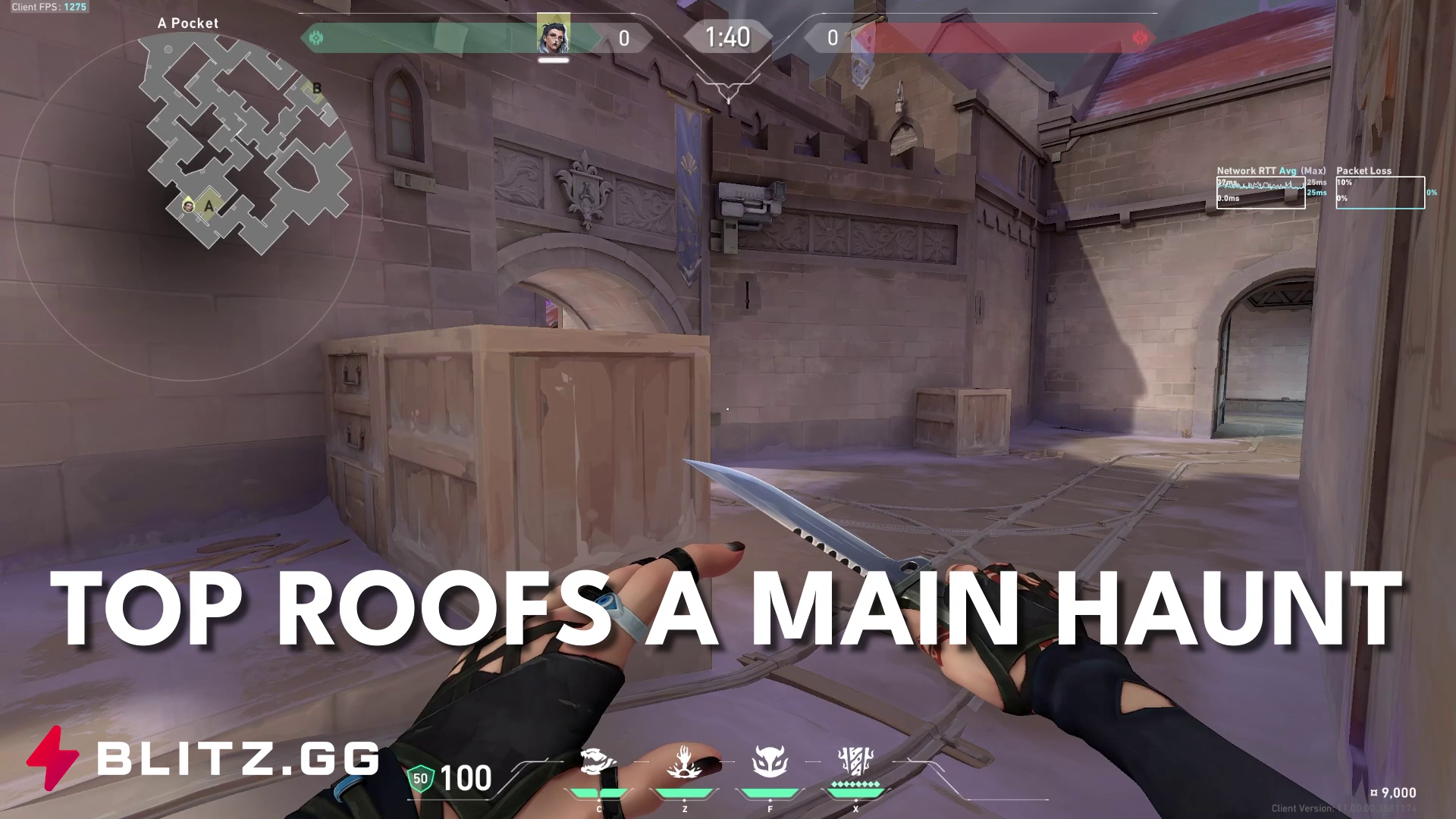 Top Roofs A Main Haunt For Info