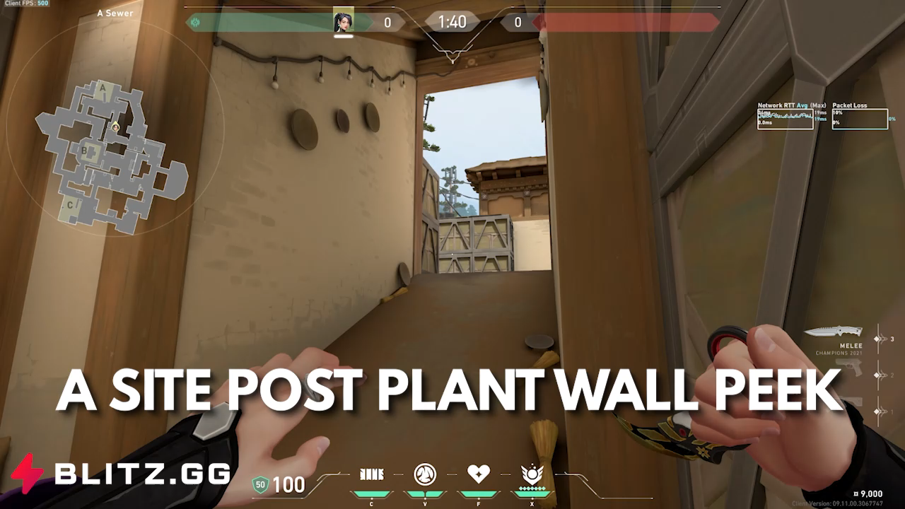 A Site Post Plant Wall Peek