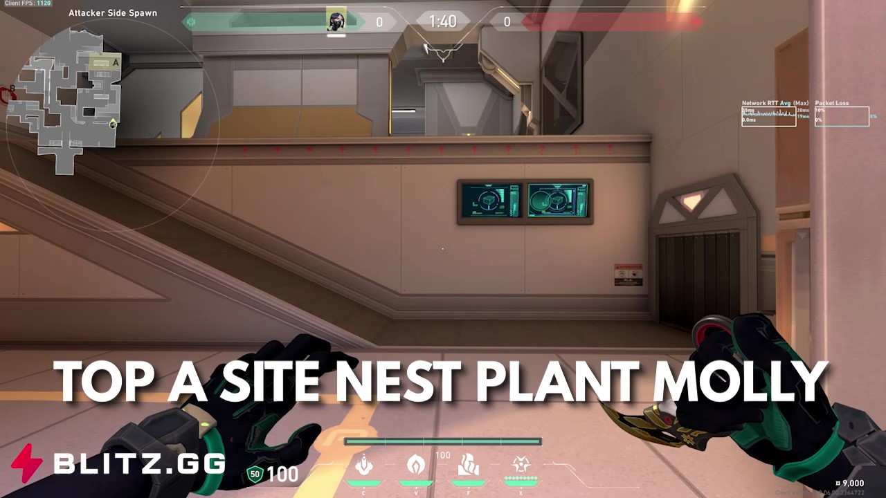 Top A Site Nest Post Plant Snake Bite