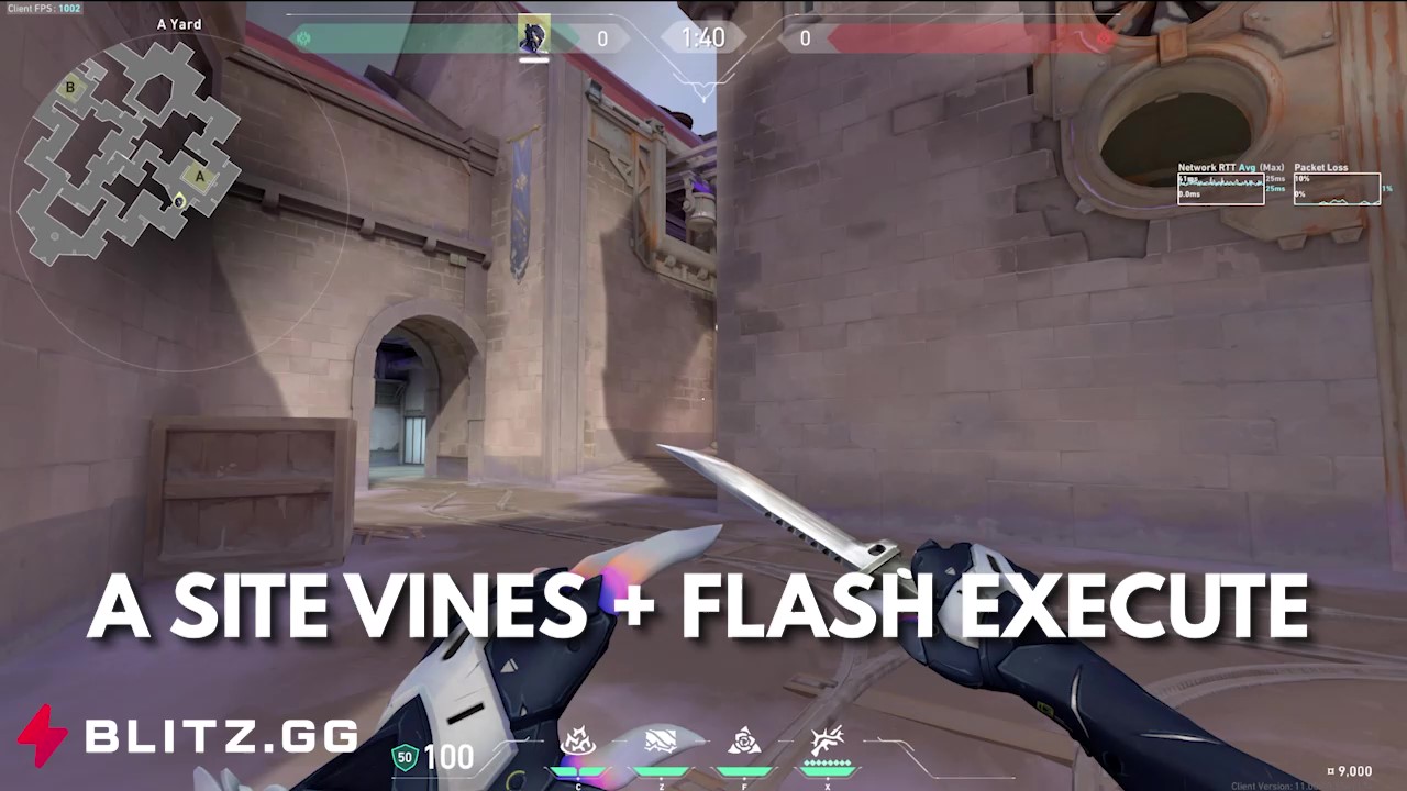 A Site Vines + Flash Execute 