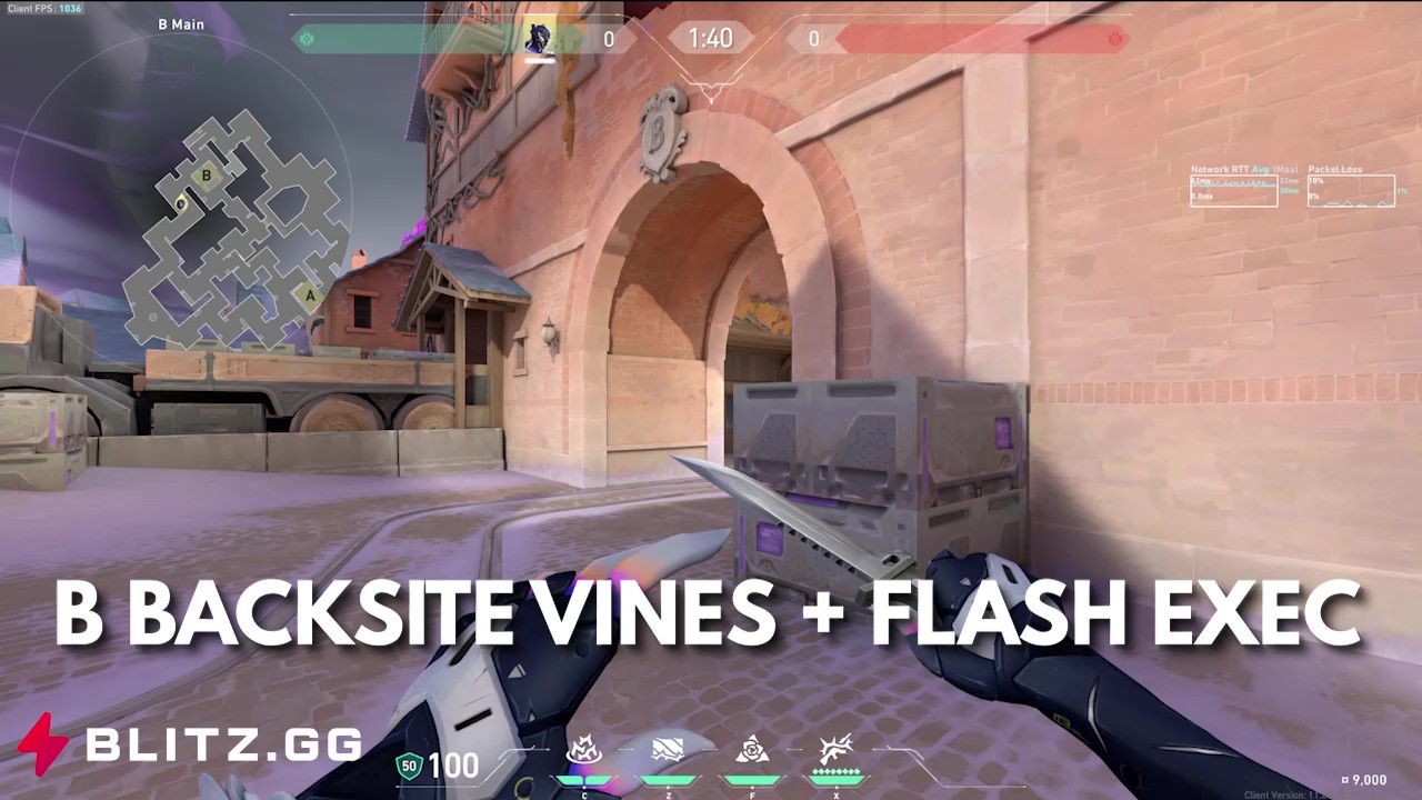B Backsite Vines + Flash Exec