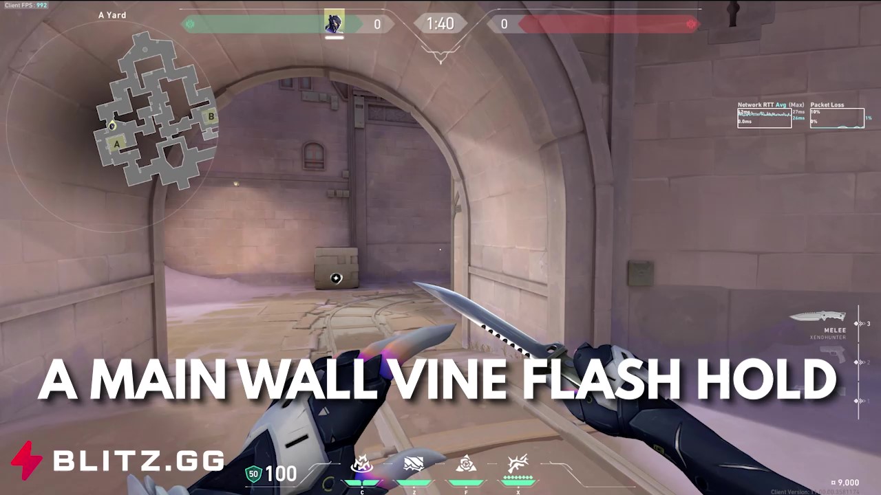 A Main Wall Vine Flash Hold