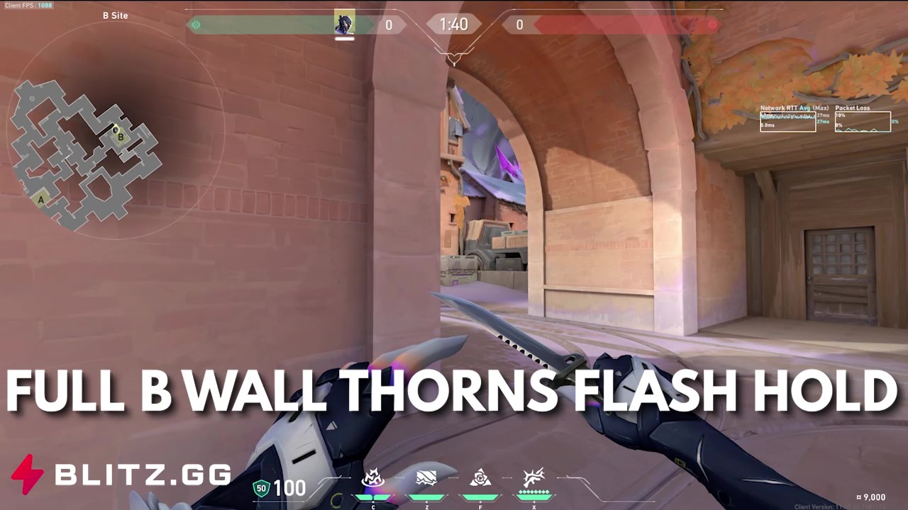 Full B Wall Thorns Flash Hold
