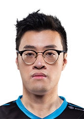 WildTurtle